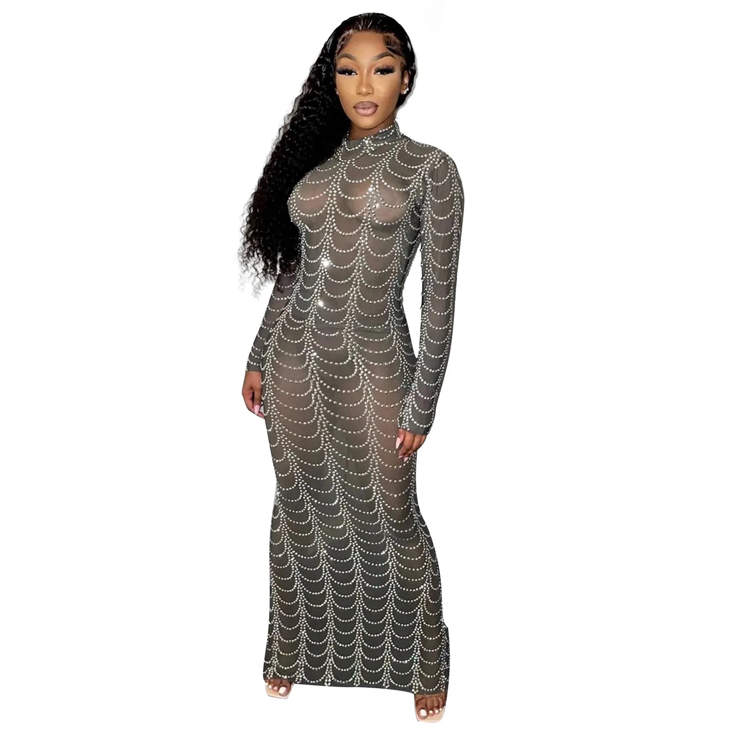 Chic Mesh See-Through Long Sleeve Dress.