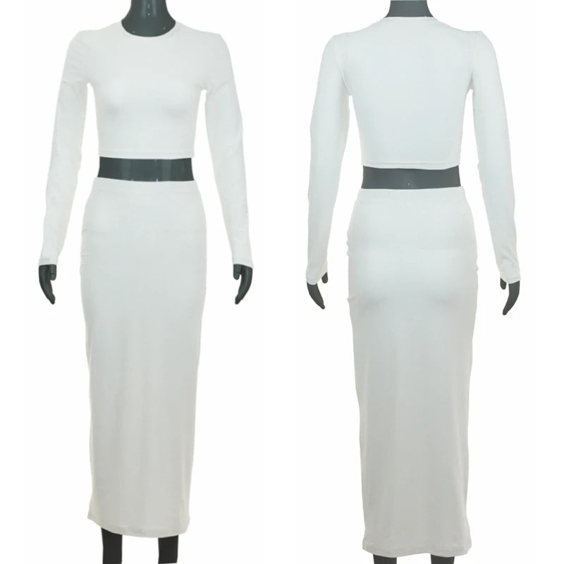 Chic Women's 2PCS Dress Set: Long Sleeve Top & Skirt.